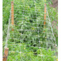agricultural farming climbing trellis plant support net
